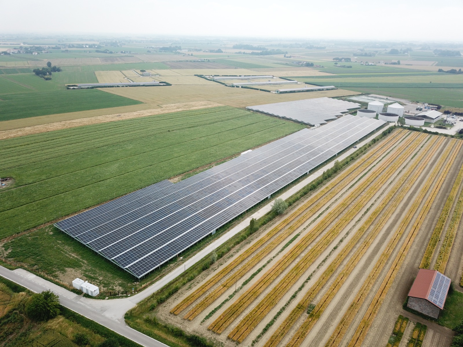 Casemurate Serre Fotovoltaiche - 2